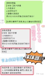 南投定點茶-球球