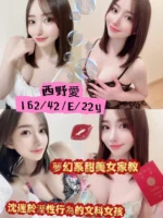 台南定點茶-西野愛
