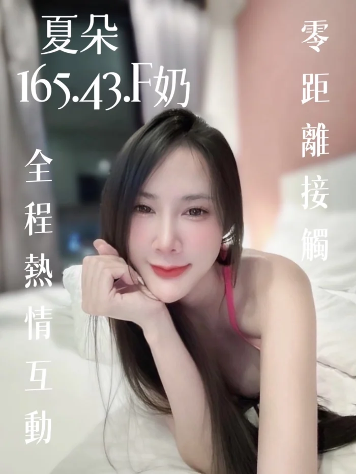 台北定點茶-夏朵
