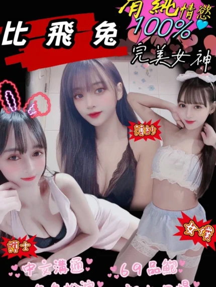 南投定點茶-比飛兔