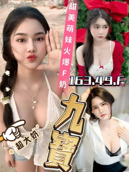 台南定點茶-九寶