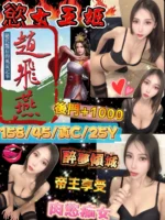 台北定點茶-趙飛燕