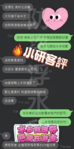 南投定點茶-小研