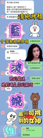 高雄定點茶-藍波婉
