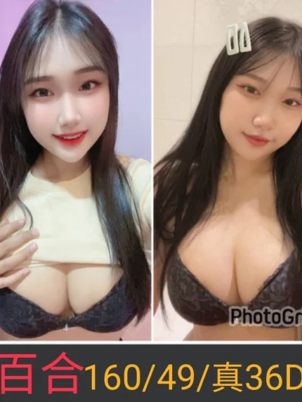 南投定點茶-百合