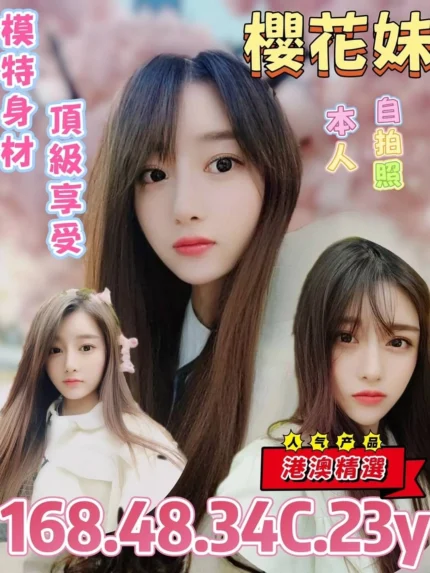 台北定點茶-櫻花妹