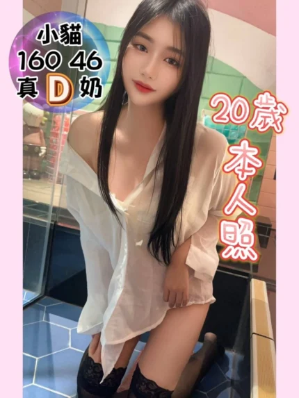 台中定點茶-小貓