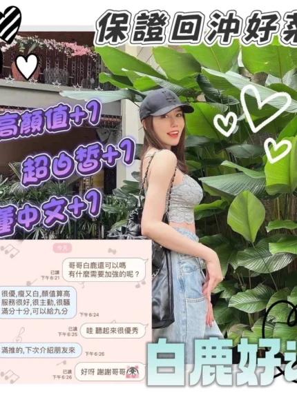 台南定點茶-白鹿
