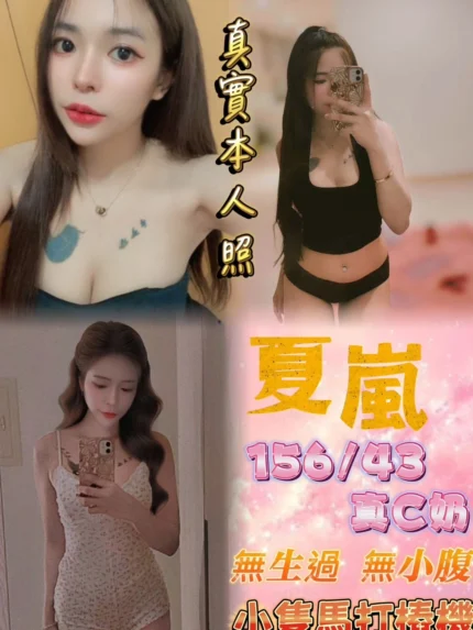 新北定點茶-夏嵐