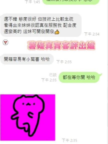 台南定點茶-薯條