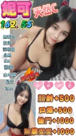 桃園定點茶-妮可