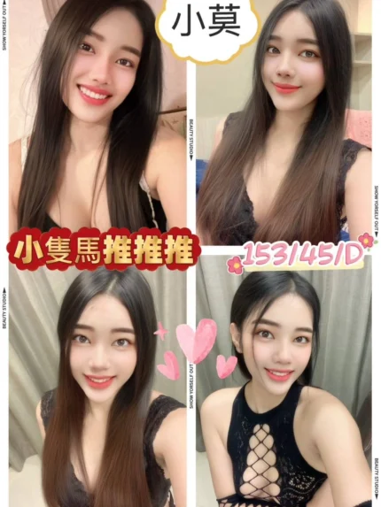 屏東定點茶、外送茶-小莫