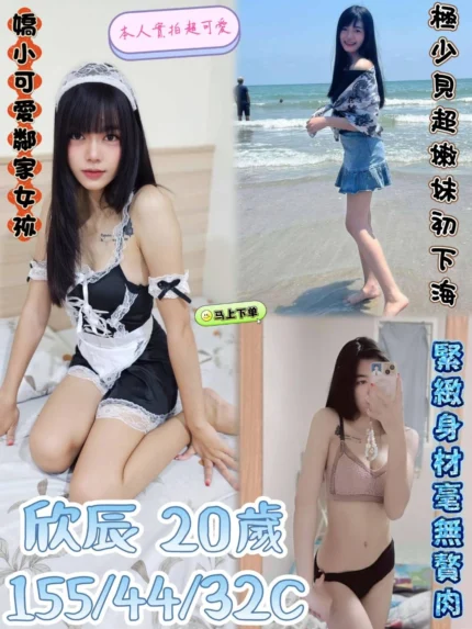 雲林定點茶-欣辰