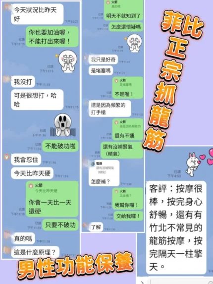台北定點茶-菲比