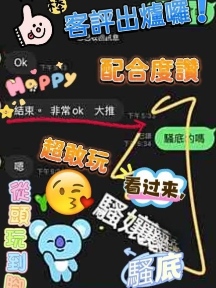 高雄定點茶-騷孃