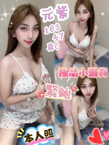 台中定點茶-元紫