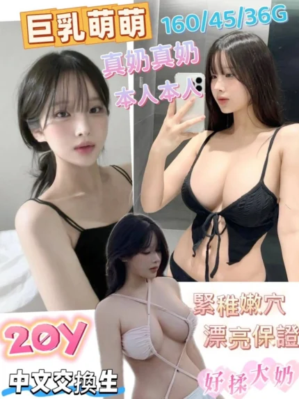 台南定點茶-萌萌