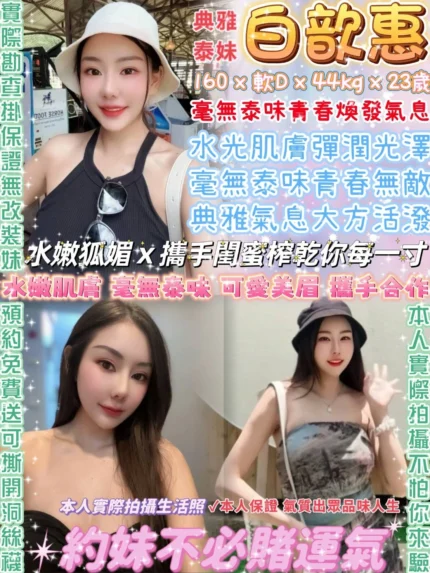 台北定點茶-白歆惠