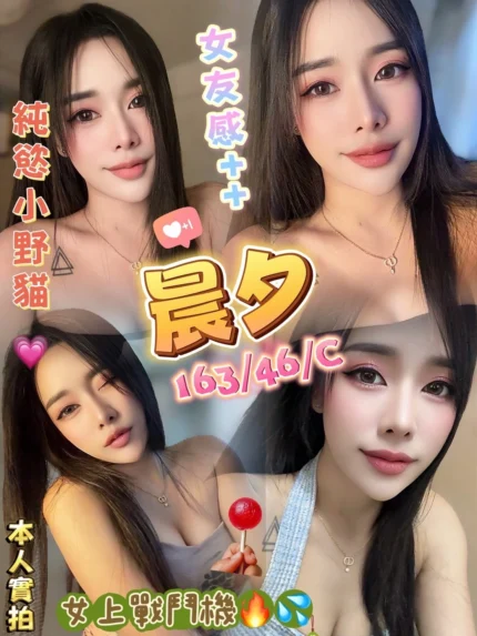 澎湖定點茶-晨夕