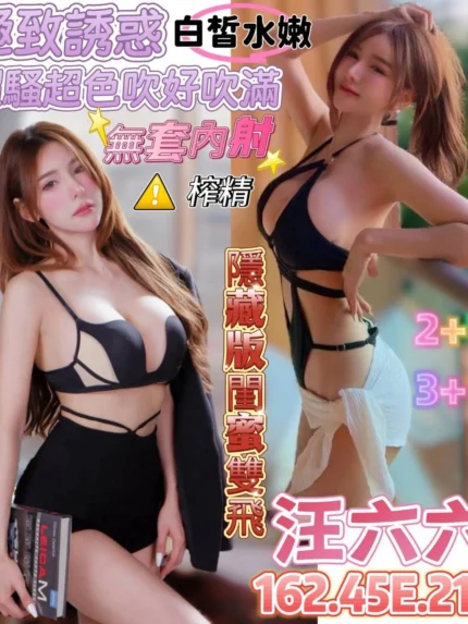 台南定點茶-汪六六