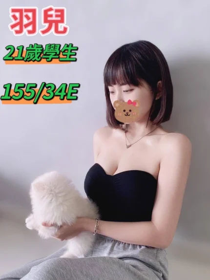 台中定點茶、外送茶-羽兒