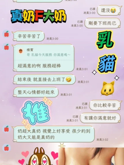 台南定點茶-乳貓