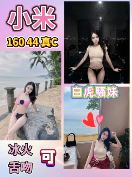 台北定點茶-小米
