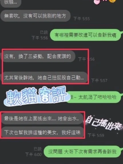 彰化定點茶-軟貓