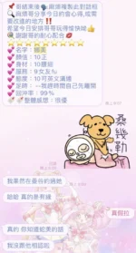 桃園定點茶-娜美