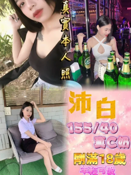 新北定點茶-沛白
