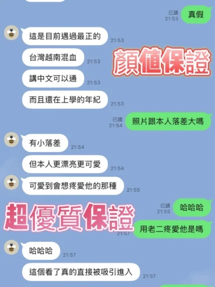 新竹定點茶-小奶糖