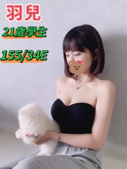 台中定點茶、外送茶-羽兒