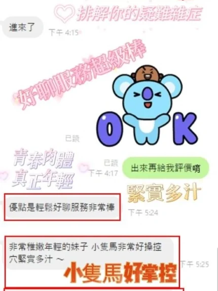 嘉義定點茶、外送茶-朴寶英