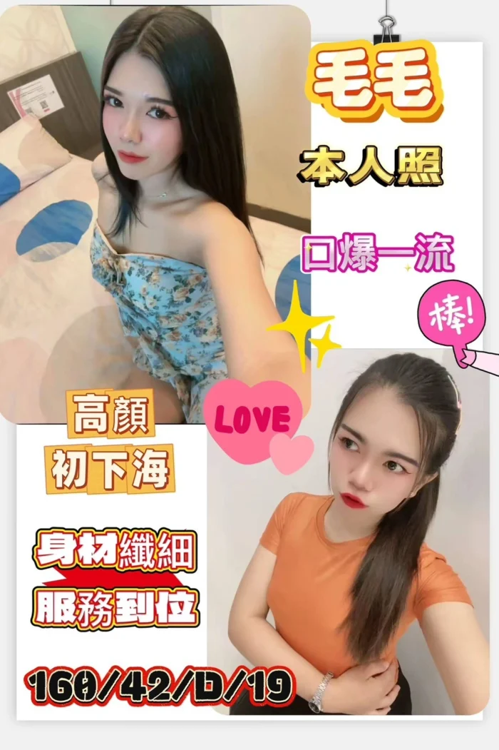 高雄定點茶-毛毛