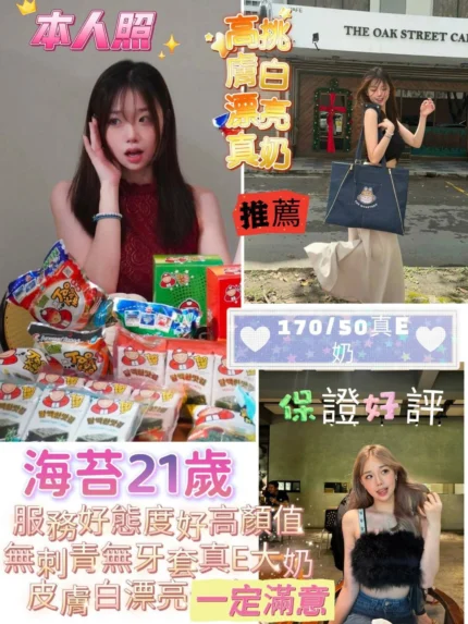 台南定點茶-海苔