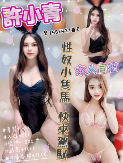 台中定點茶-許小青