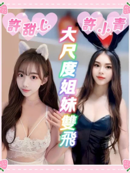台中定點茶-許甜心