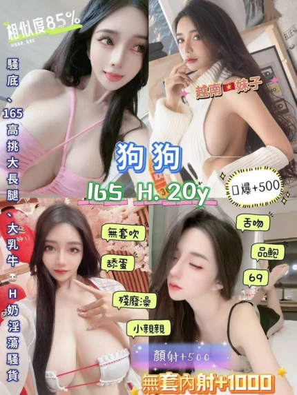 新北定點茶-狗狗