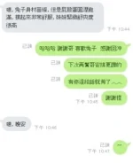 新竹定點茶-兔子