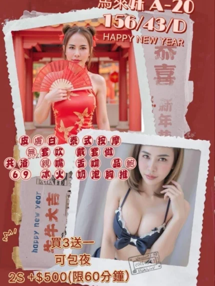 嘉義定點茶-A20