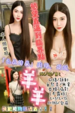 新竹定點茶-羊羊