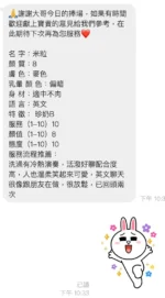 桃園定點茶-米粒