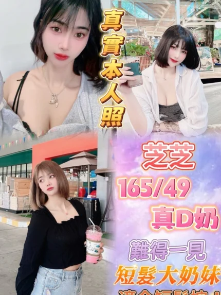 台北定點茶-芝芝