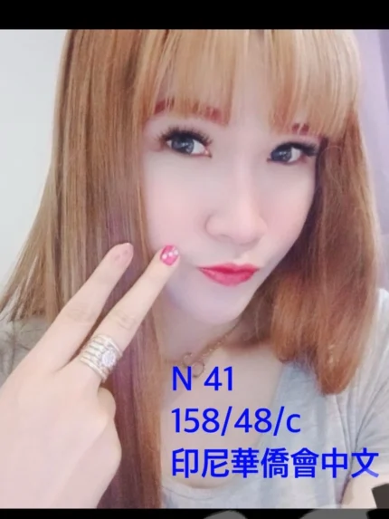 嘉義定點茶-N41