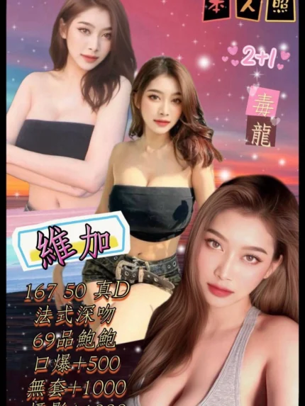 台北定點茶-維加