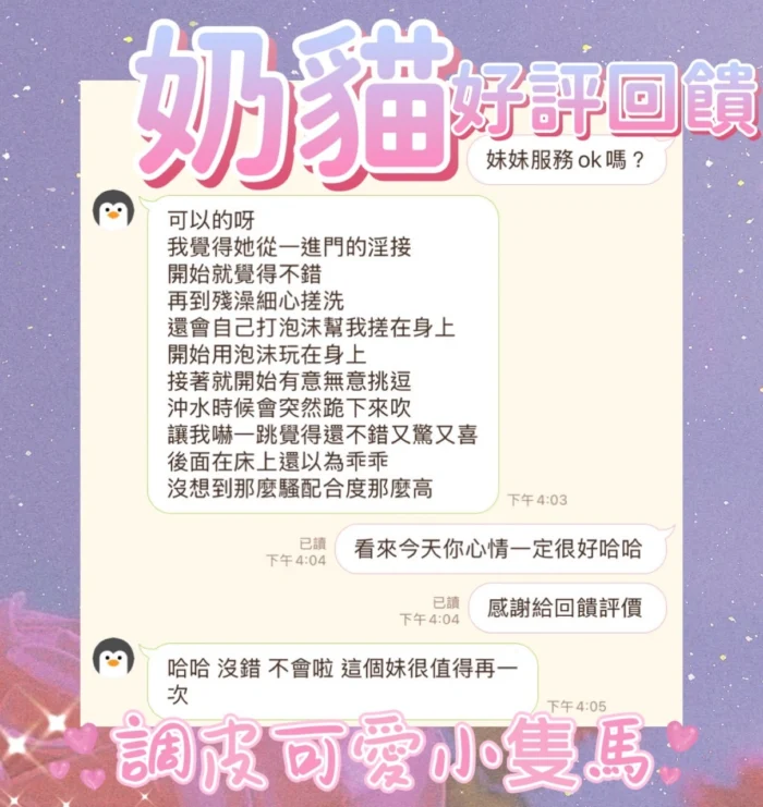 台中定點茶-奶貓
