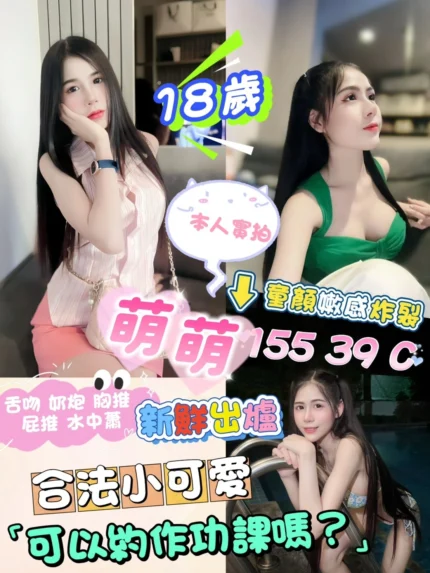 新北定點茶-萌萌