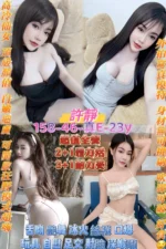桃園定點茶-許靜