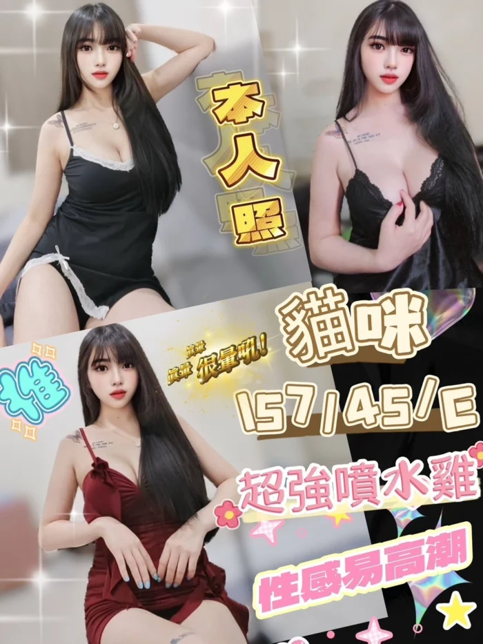 台中定點茶-貓咪