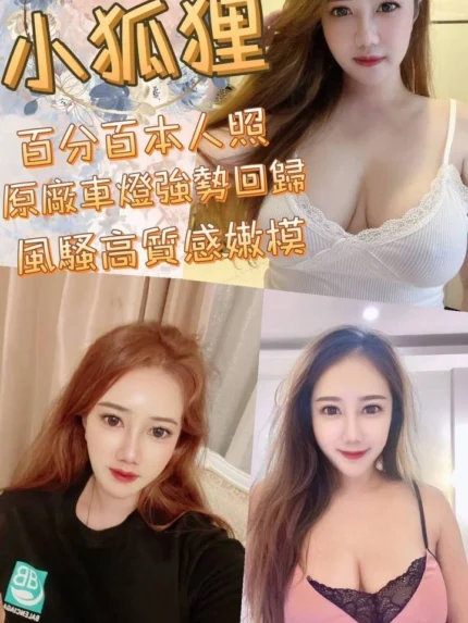 台中定點茶-小狐狸